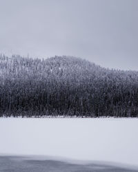  snow covered fell against sky