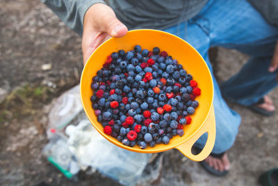 Low section of person holding berries in bowl