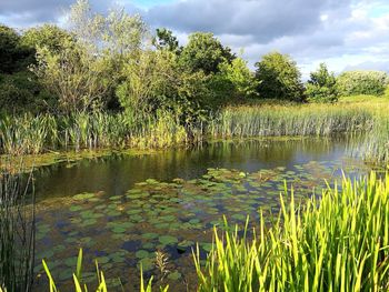 Scenic view of lake against sky