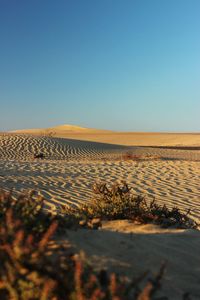 Surface level of land against clear sky