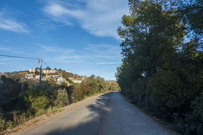 Road amidst trees against sky