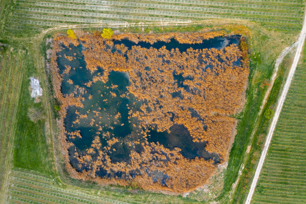 HIGH ANGLE VIEW OF BREAD ON LAND