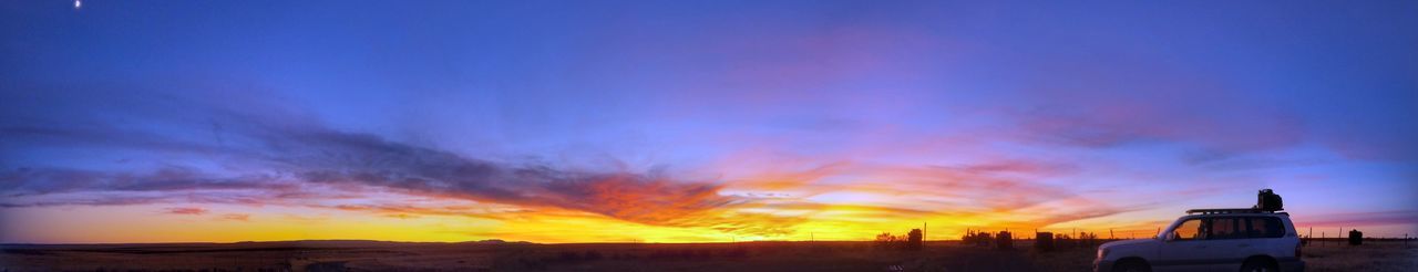 Silhouette of trees at sunset