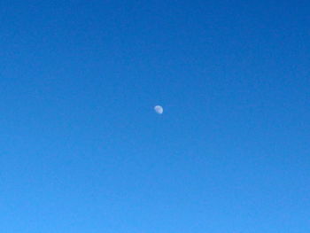 Low angle view of moon against blue sky