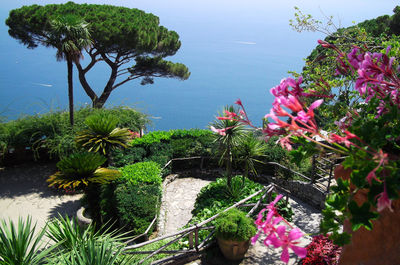 Flowering plants by sea against sky