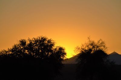 Silhouette trees against sky during sunset