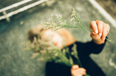 Tilt image of woman holding flowers