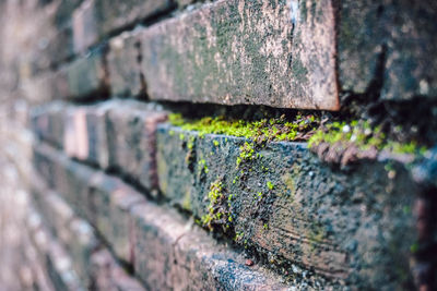 Close-up of weathered wall