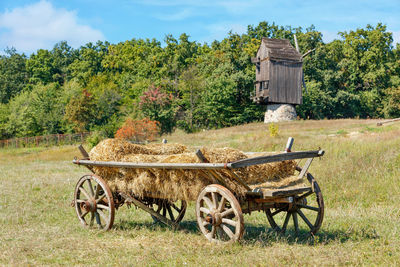 An old wooden cart loaded with straw against the background of a summer landscape with an old  mill.