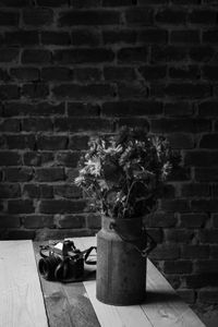 Close-up of potted plant on wall