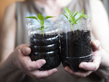 A woman uses cropped plastic bottles for seedlings of bell pepper. 