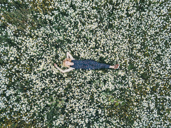 Beautiful woman lying down in daisy field