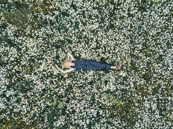 High angle view of plants growing on field