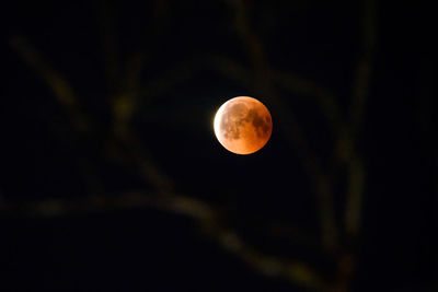 View of moon at night