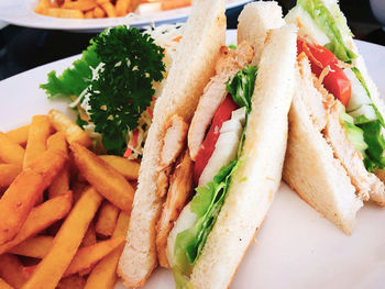 Close-up of salad served on plate