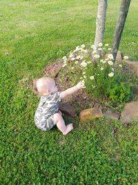 Boy on grassy field