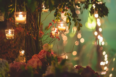 Close-up of illuminated lighting equipment hanging on tree