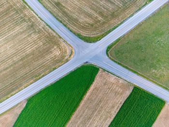 High angle view of agricultural field