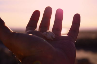 Close-up of human hand against sky during sunset