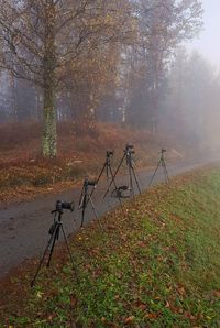 Electricity pylon on land during autumn