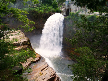 Scenic view of waterfall in forest