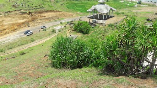 Scenic view of agricultural field