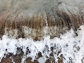 Close-up of sea shore