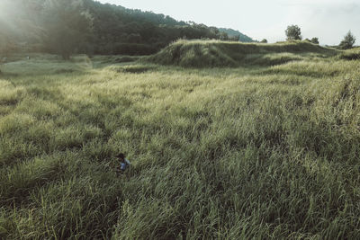 Scenic view of field