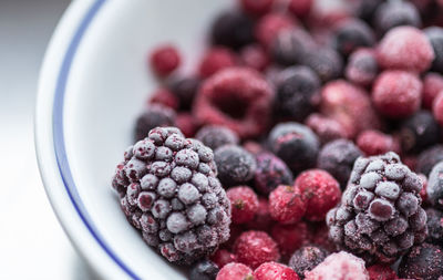 Close-up of food in bowl