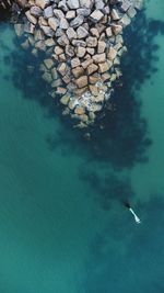 High angle view of turtle swimming in sea