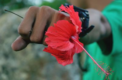 Close-up of hand holding red rose