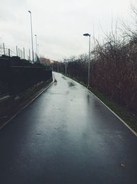 Street lights against sky