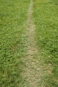 High angle view of trail on field