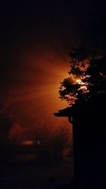 Low angle view of silhouette trees against sky at night