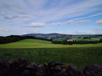 Scenic view of field against sky