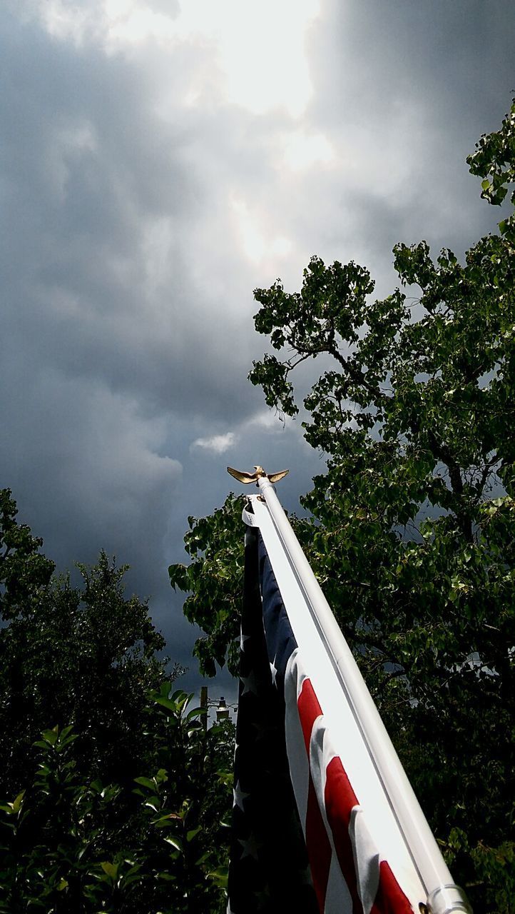 LOW ANGLE VIEW OF FLAG AGAINST TREES