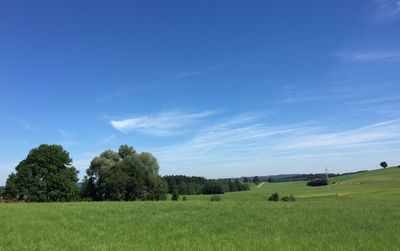 Scenic view of grassy field against sky