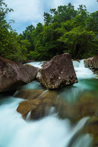 Stream flowing in forest against sky