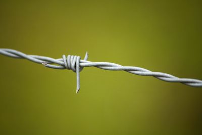 Close-up of barbed wire fence