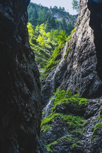 Scenic view of waterfall