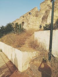 Shadow of trees on wall against clear sky