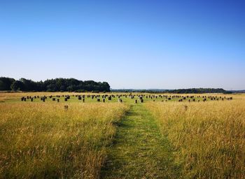 Scenic view of ancient woodhenge against clear sky. 