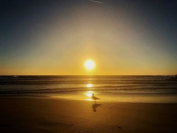 Scenic view of beach during sunset