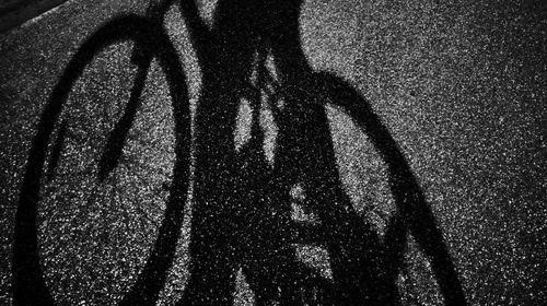 Shadow of bicycle on road