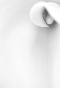 Close-up of white background