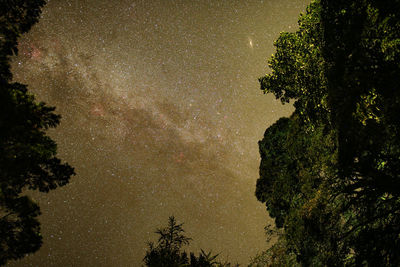 Low angle view of silhouette trees against sky at night