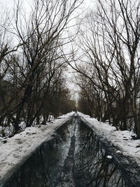 Road amidst bare trees during winter