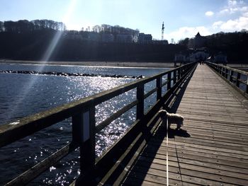 Close-up of bridge over river in city against sky