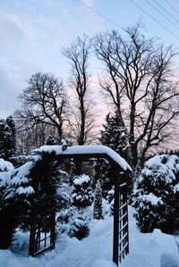 Snow covered trees against sky