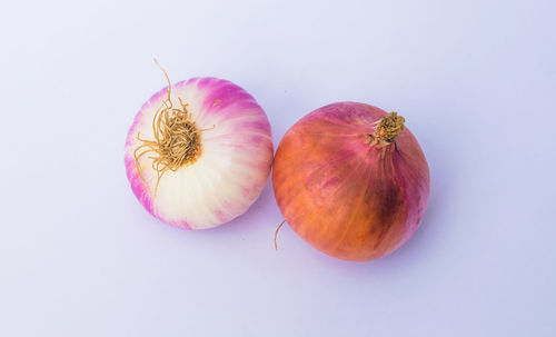 High angle view of fruits against white background